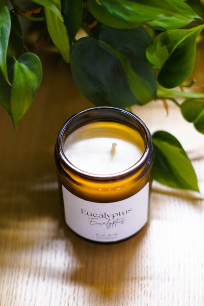 Bougie Eucalyptus