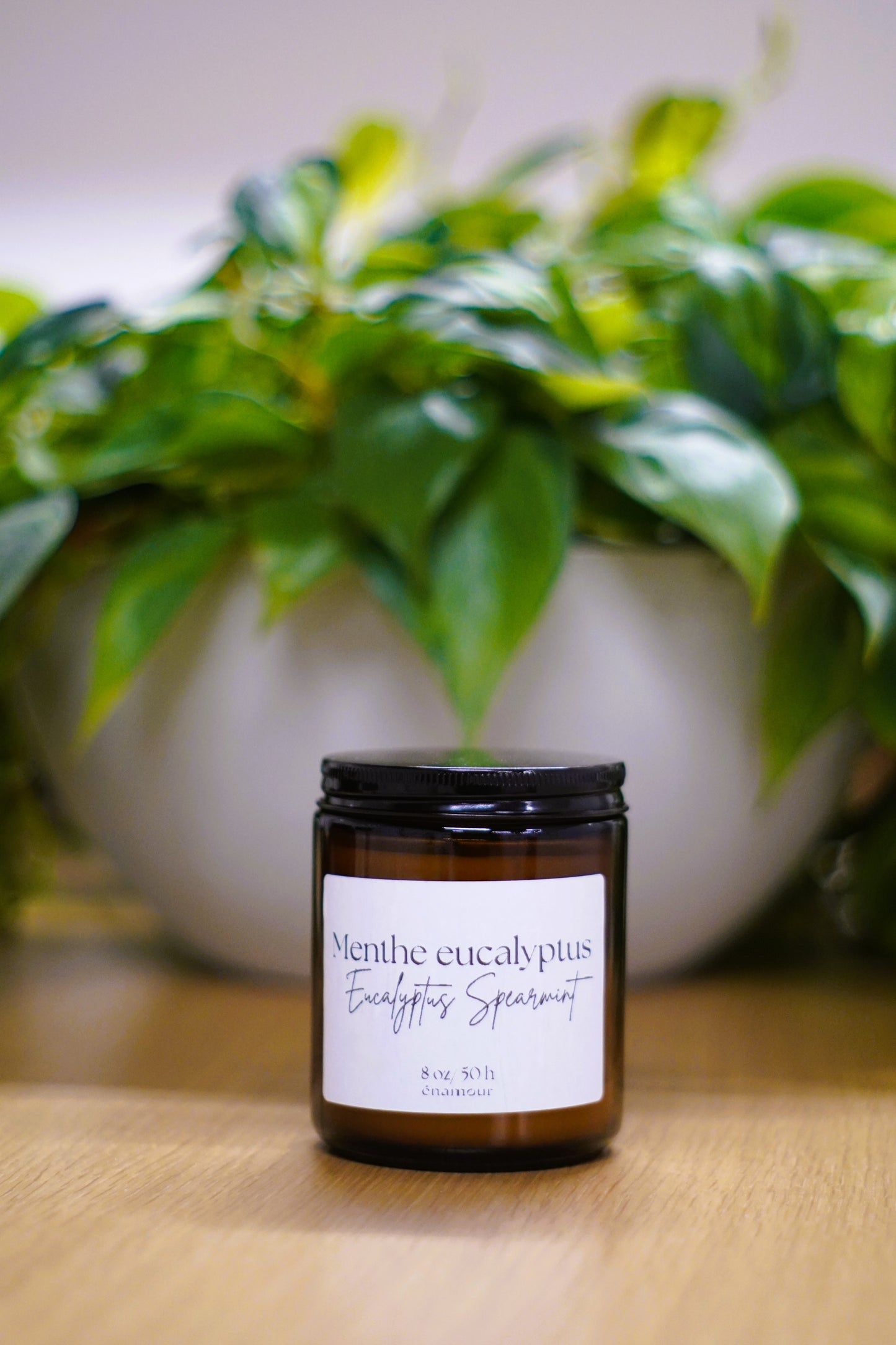 Bougie Menthe eucalyptus