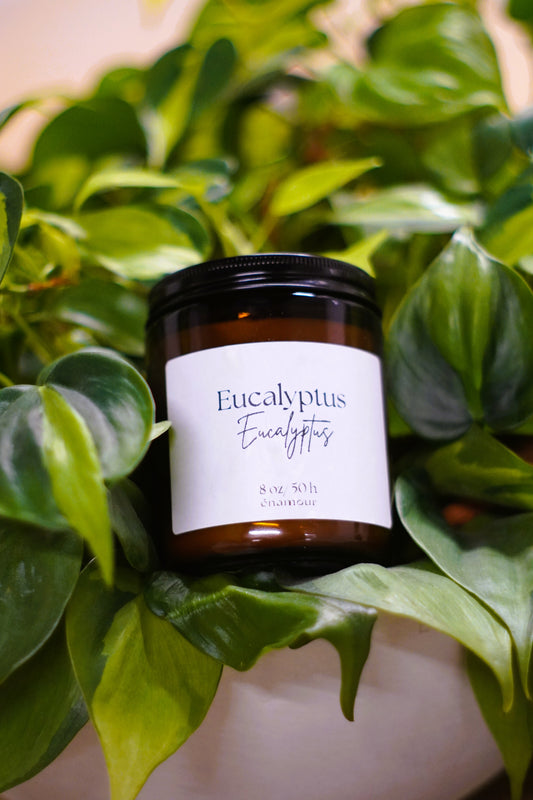 Bougie Eucalyptus