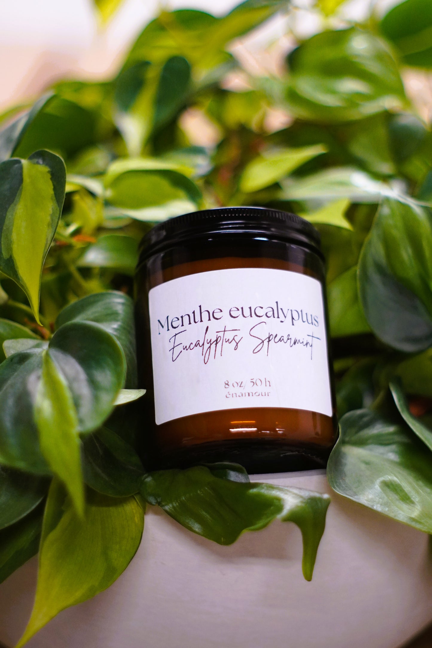 Bougie Menthe eucalyptus